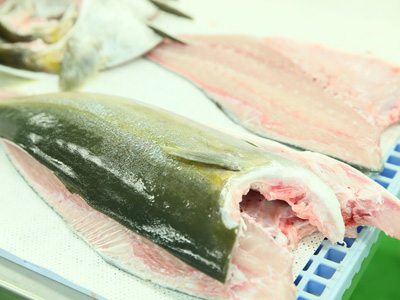 Features of Seapro’s product, kanpachi (great amberjack)